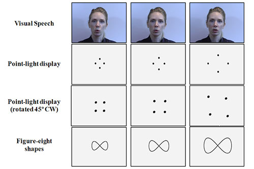 Many visual representations of lip motion