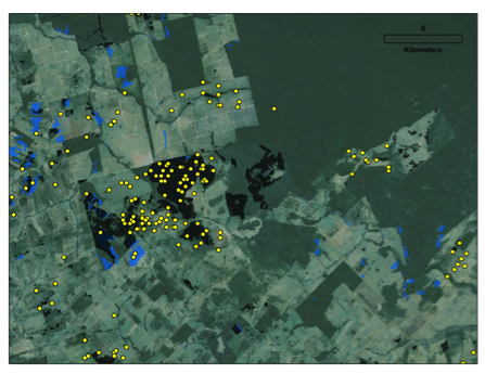 Map of deforestation in Mato Grosso