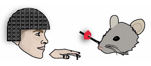 Illustration of person and mouse