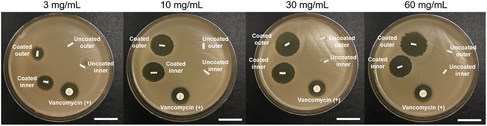 Petri dish samples