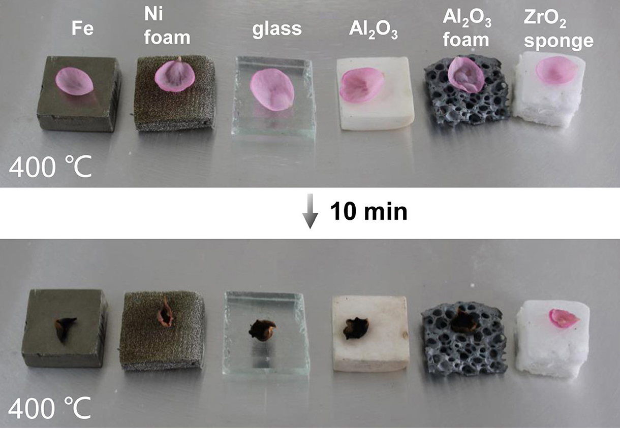 Different sponges at different temperatures