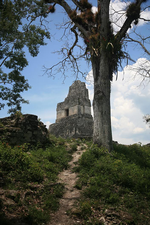 Tikal temple on a hill