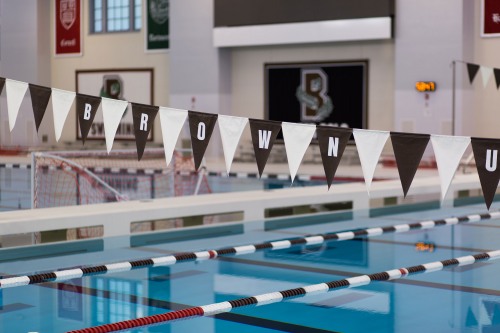 Brown pool