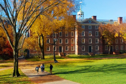 Main Green