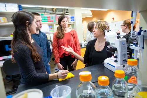 Students working with faculty member