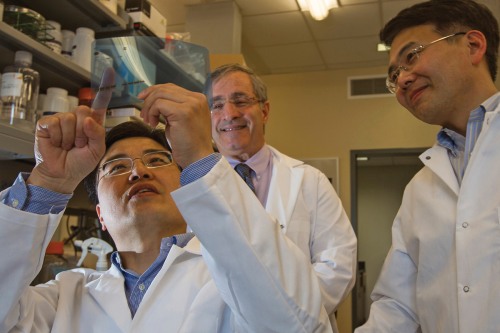 Scientists working in Jack Elias lab