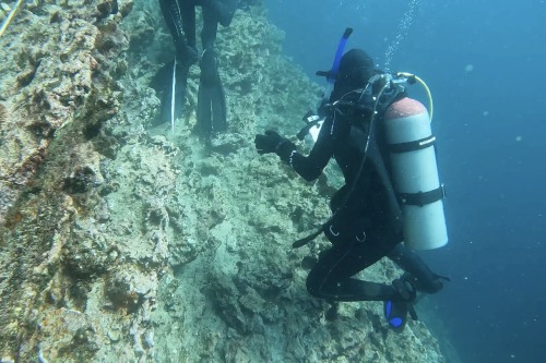Rebecca Ward-Diorio: Diving deep into research in the Galápagos - Vimarsana News