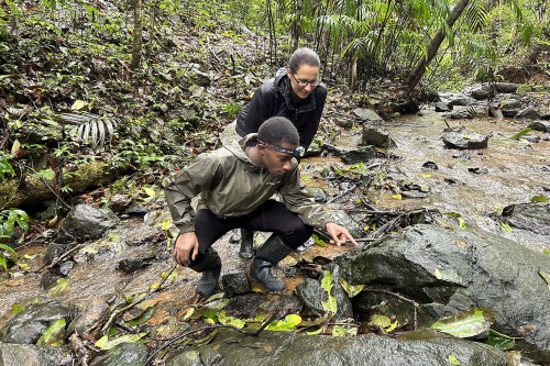 Kyle Paul: From Vienna, India and Providence, advancing understanding of amphibian behavior - Vimarsana News