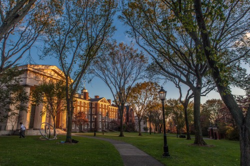 Quiet Green at Brown
