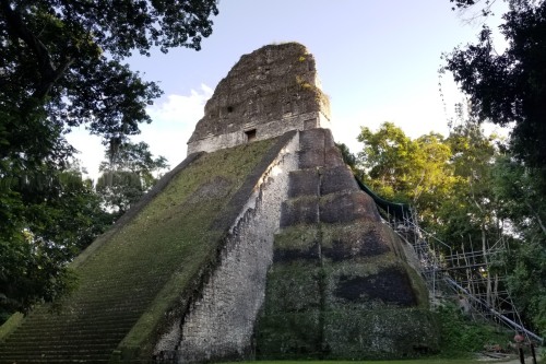limestone temple at Tikal