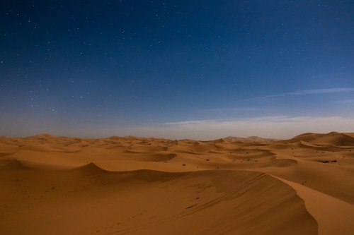 An image of sand dunes in the Sahara