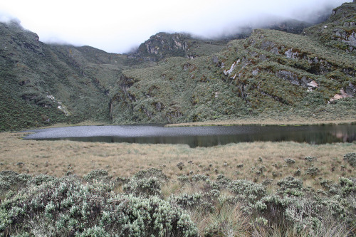 灼熱のアフリカ Fire that scorched African mountain range was unprecedented in the