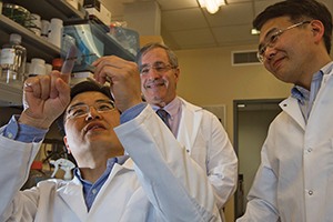 Scientists working in Jack Elias lab