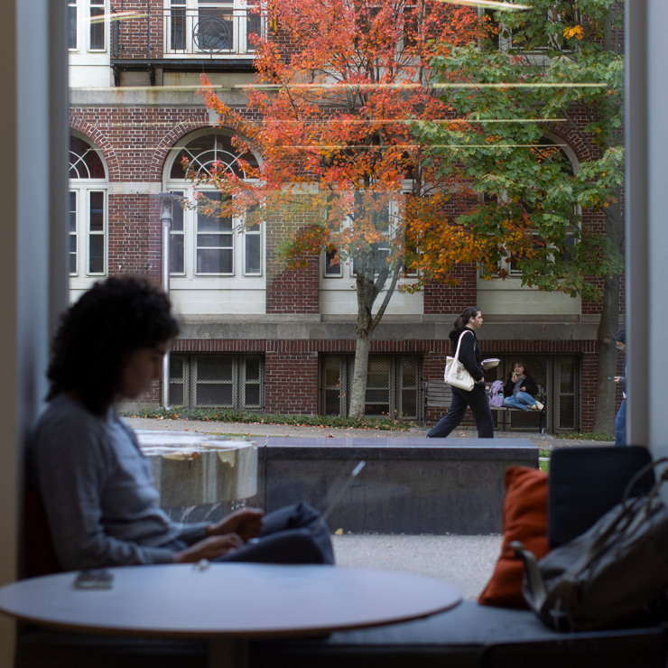 Student studying at a table in front of window