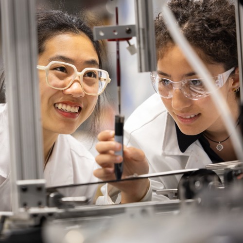 Students working in a research lab.