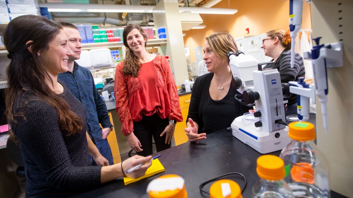 Students working in lab