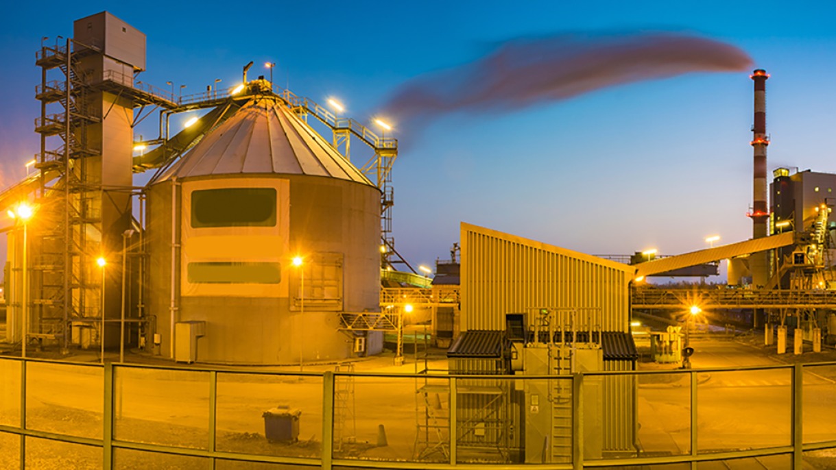 Brown researcher to study environmental health impacts of wood pellet production