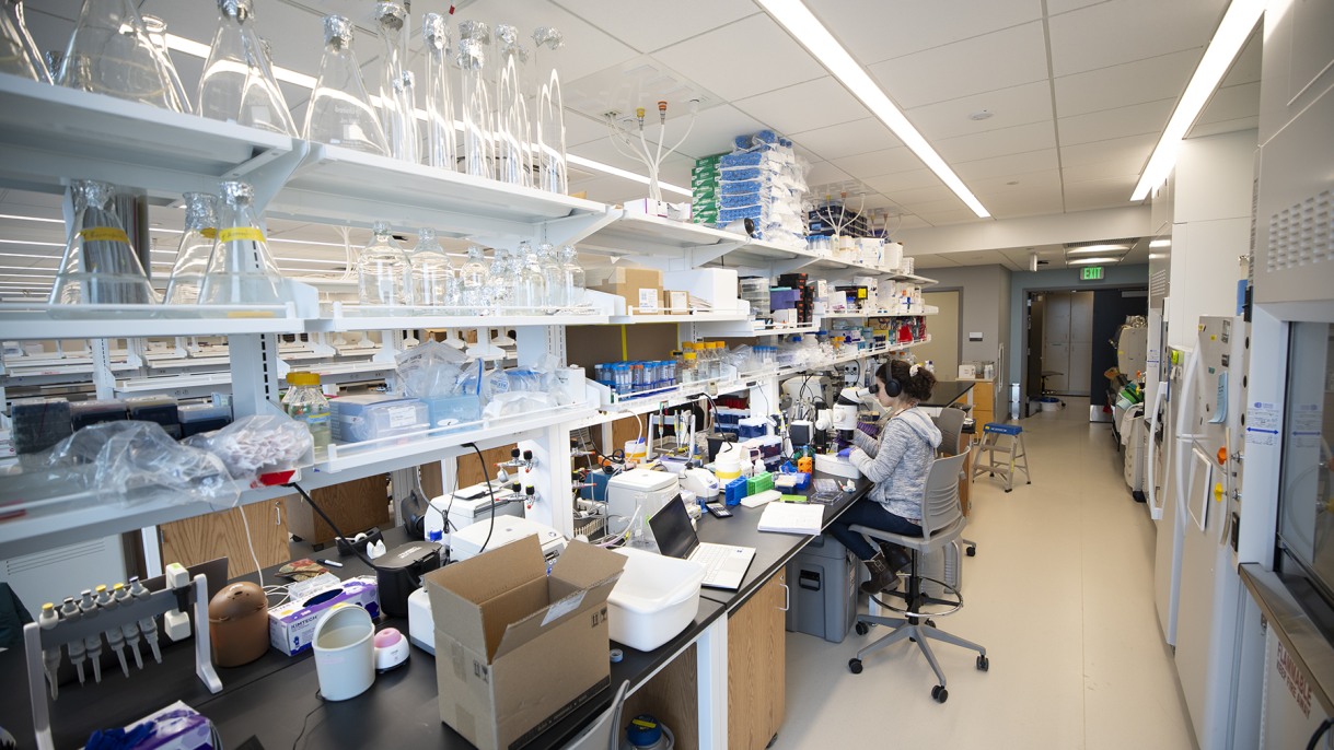 Scientists at the Center on the Biology of Aging are rapidly advancing research on aging