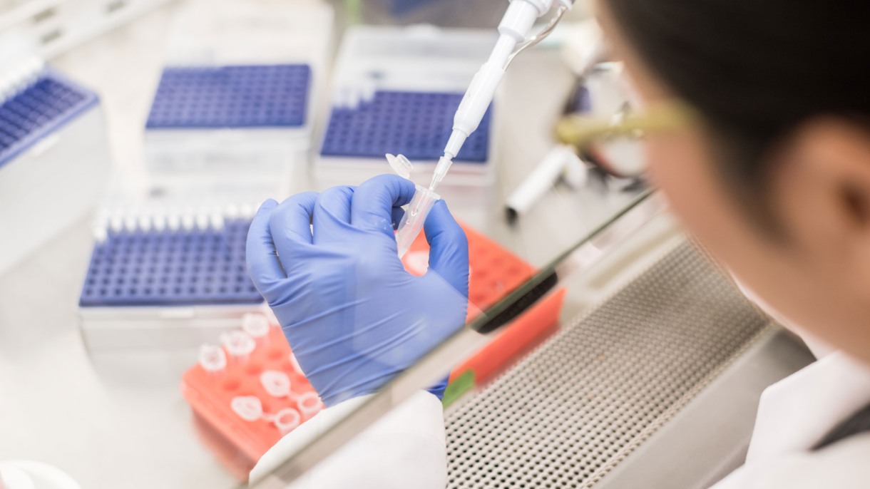 Brown joins amicus brief detailing how federal research cuts imperil America’s global competitiveness