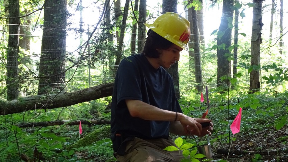 Marcos Rodriguez in forest, another angle