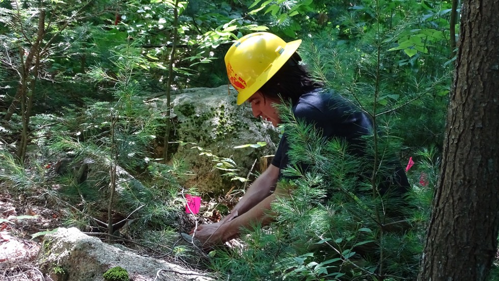 Marcos Rodriguez in the forest