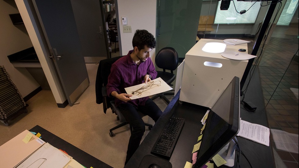 Dan Davis digitizes plant specimens at the scanning station