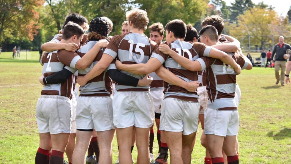 Brown club rugby