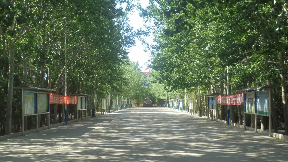 A street in Gensu, China.