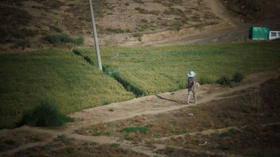 A person walking along a rural road in Gansu, China