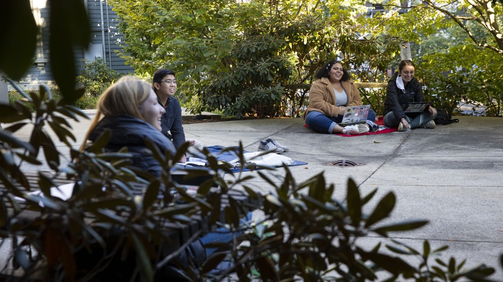 Students in Erica Durante's Fall 2020 course, Preparation for Honors and Capstone Projects on Latin American and Caribbean Topics.