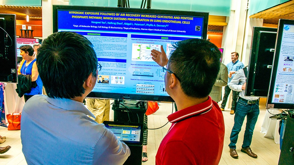 Researchers discuss a presentation on a screen