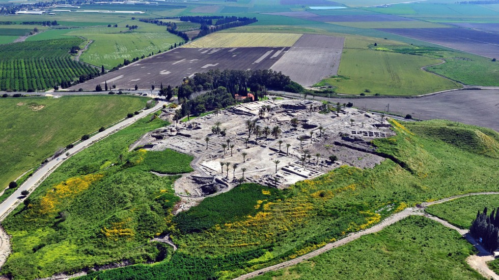 aerial view of Megiddo, surrounded by fields and a vineyard