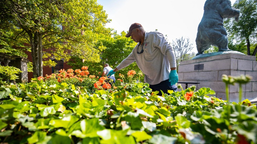 Robert Farizer plants flowers