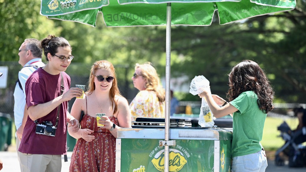 Dels frozen lemonade stand 