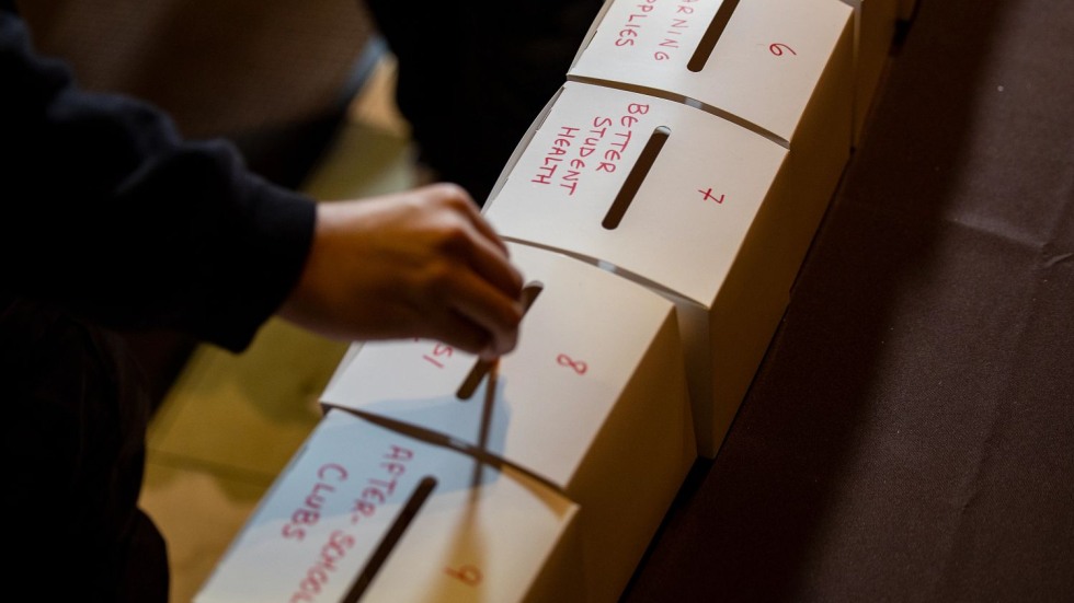 hand putting a popsicle stick into a labeled cardboard box 