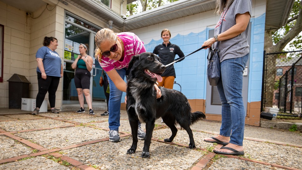 a person walks a dog while another person pets it