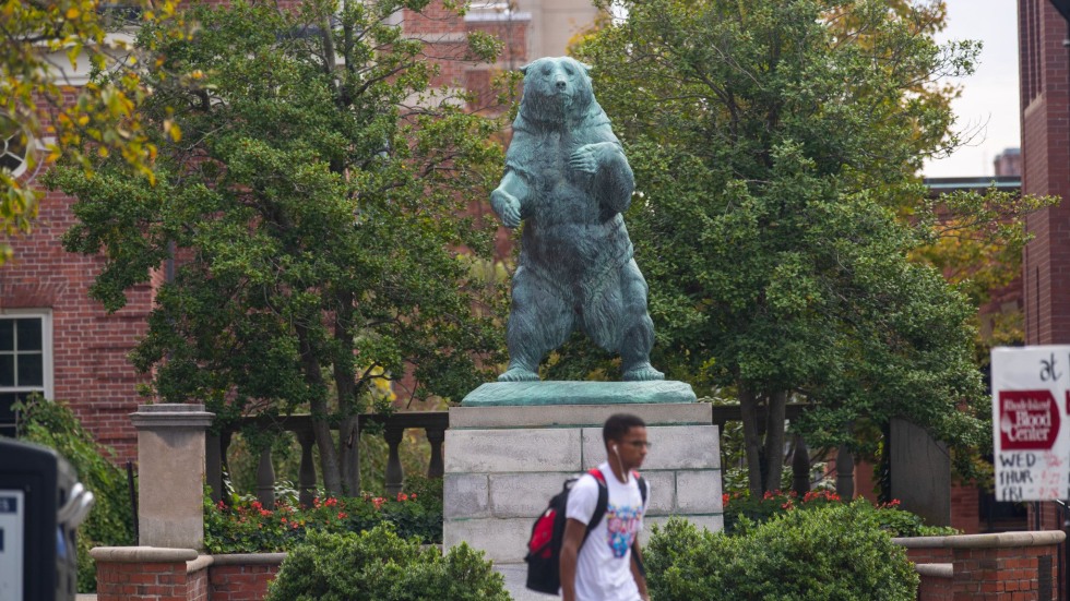 Bruno Brown Bear Bruno Brown Bear