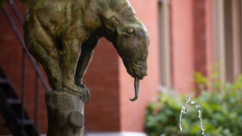 "Little Bear Fountain"