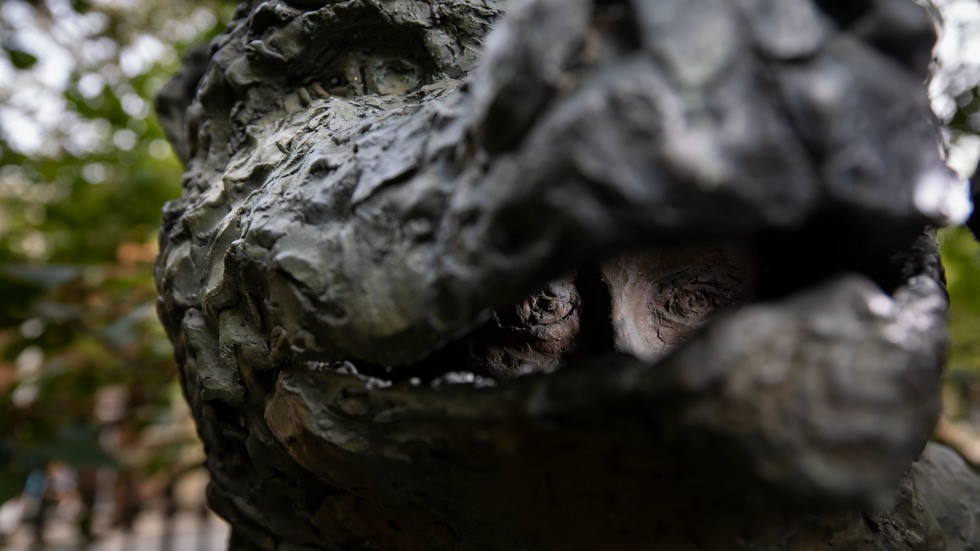 eyes peer from the inside the bear's mouth