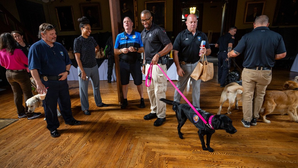 Group of police officers and Elvy