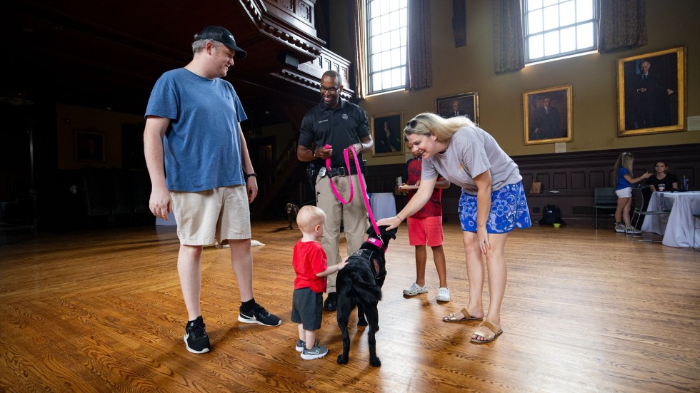 Baby greets a dog