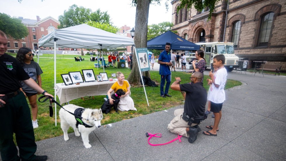 People and dogs on the College Green