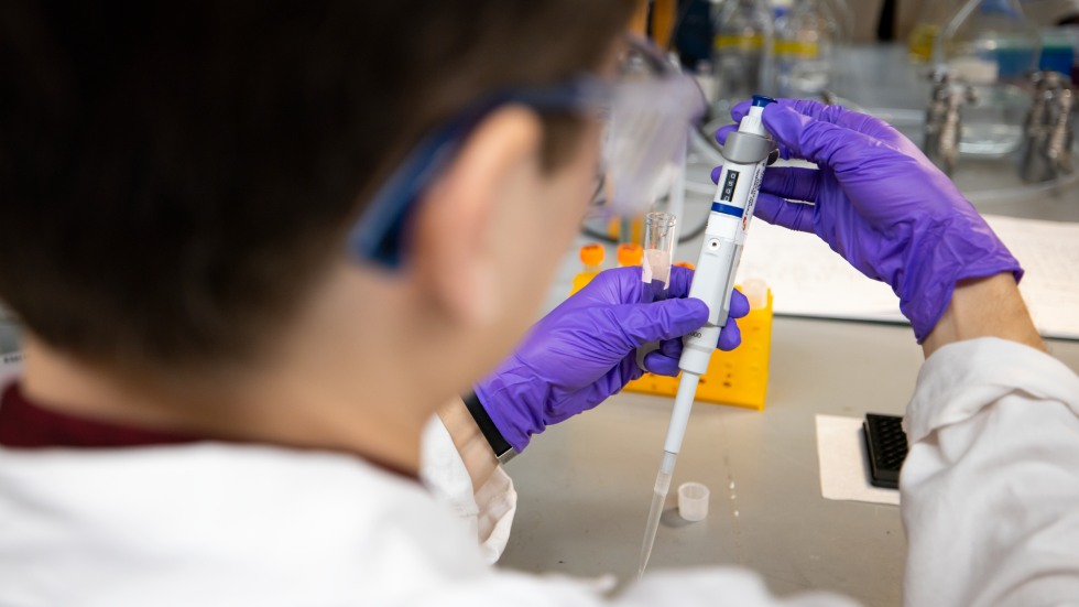 Sorge adjusts the settings of a pipette