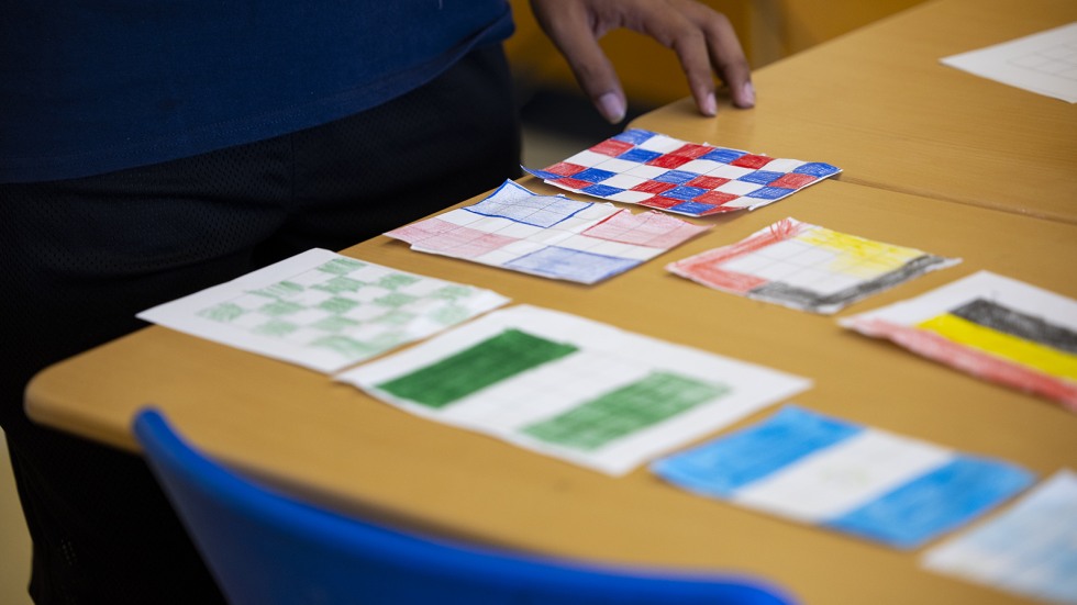 activity flag fractions