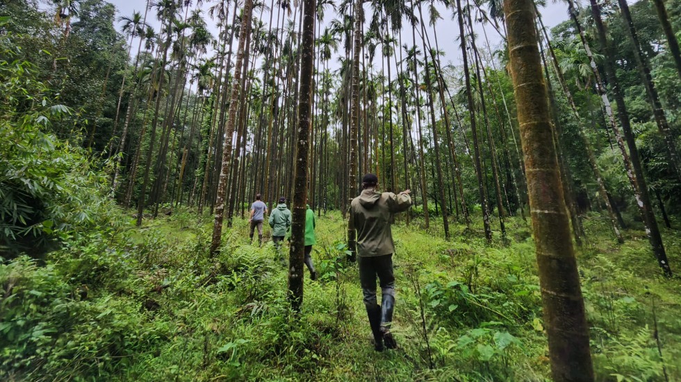 Kyle walking through the forest