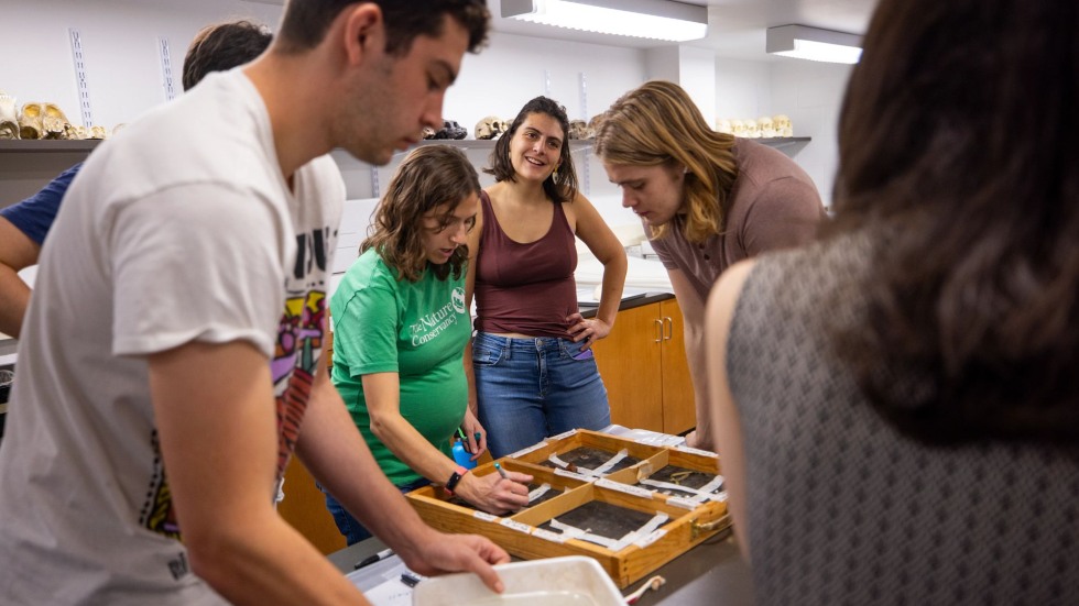 Students gather around samples