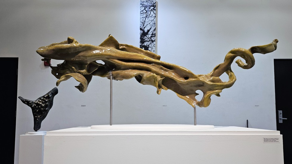 sculpture resembling fish or driftwood