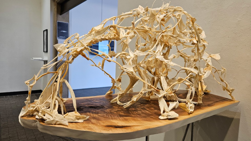 sculpture made of fish bones