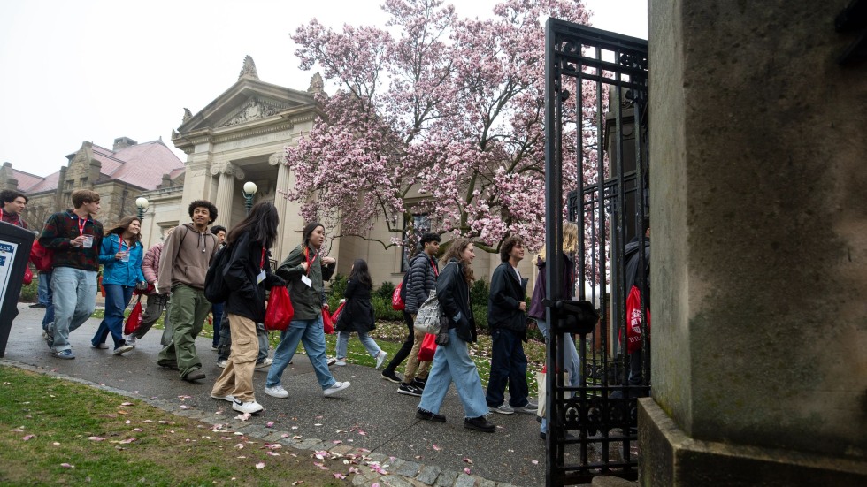 People walk past blossoming trees on campus