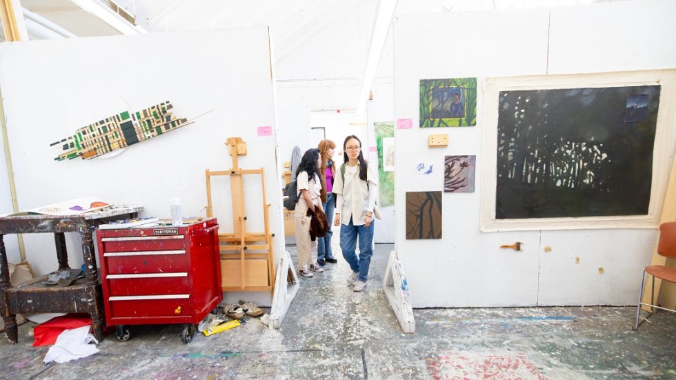 visitors walking in gallery